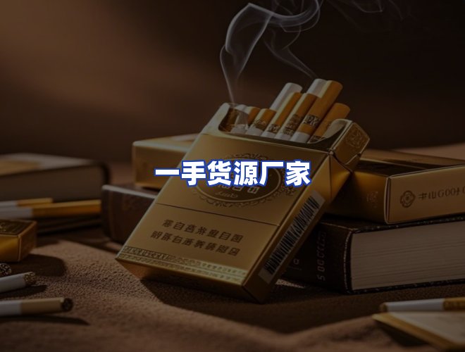 专业团队